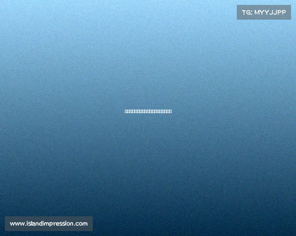 石家庄栾城区急招电竞运营，月薪最高一万